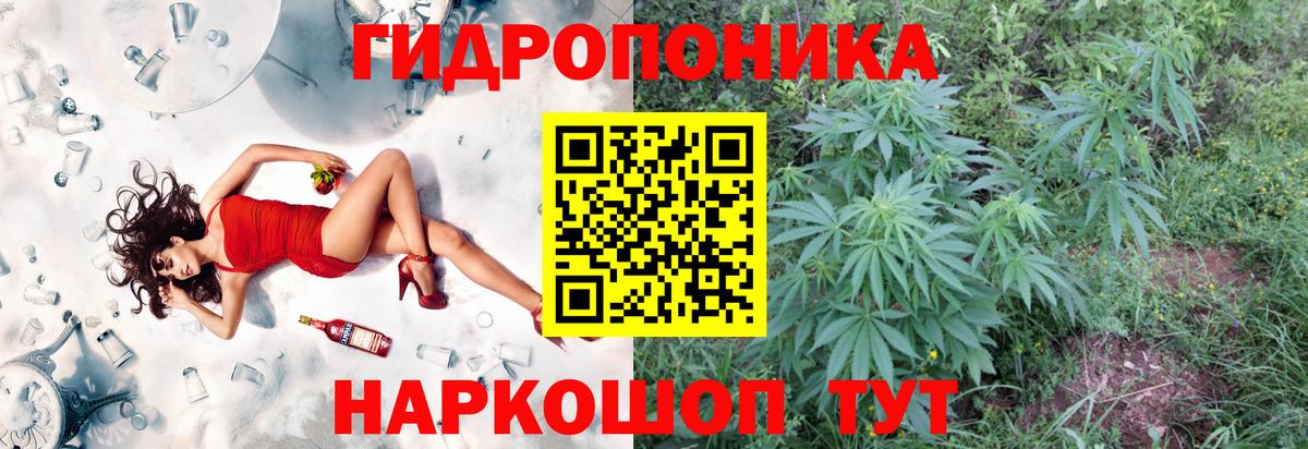 Конопля VHQ  Вход с VPN  Туймазы  Канабис конопля 